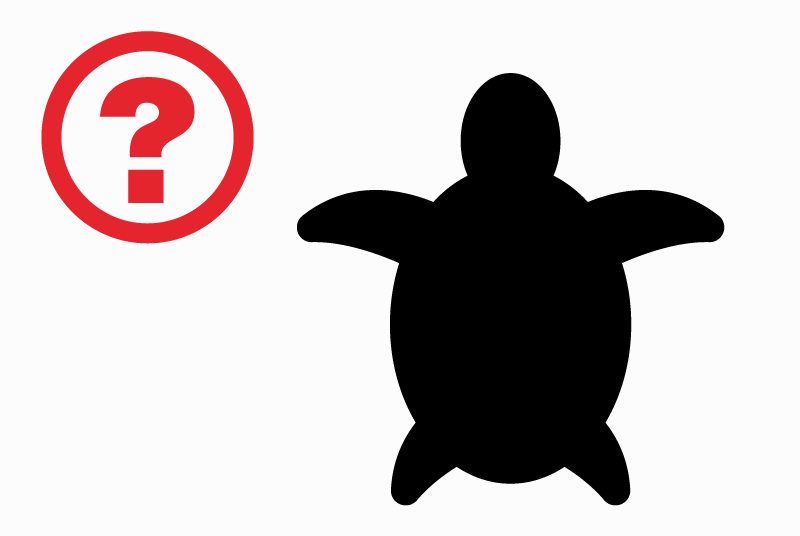Alerte Découverte Tortue Mâle Vedène France